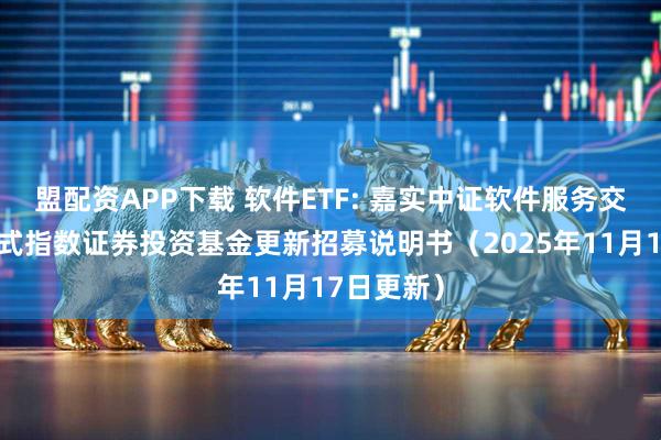 盟配资APP下载 软件ETF: 嘉实中证软件服务交易型开放式指数证券投资基金更新招募说明书（2025年11月17日更新）
