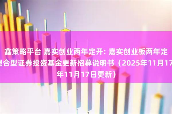 鑫策略平台 嘉实创业两年定开: 嘉实创业板两年定期开放混合型证券投资基金更新招募说明书（2025年11月17日更新）
