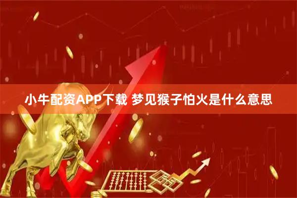 小牛配资APP下载 梦见猴子怕火是什么意思